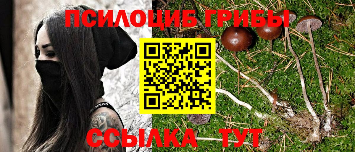Нижний Тагил  Псилоцибиновые грибы мухоморы  Псилоцибиновые грибы ЛСД  Вход с VPN 
